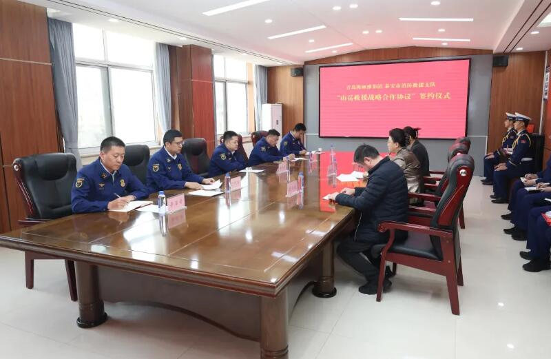 青島海麗雅集團(tuán)